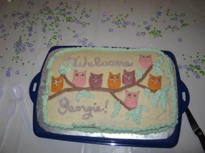 Girly Owls baby shower cake